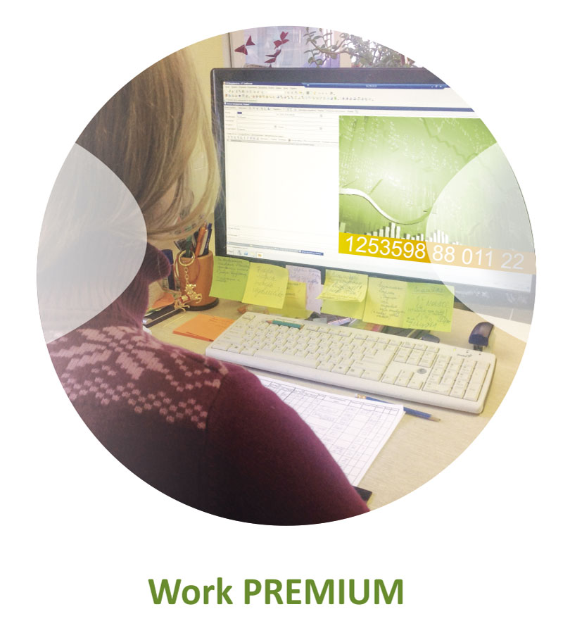 Офисные линзы Work Premium